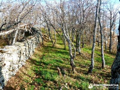 La Cachiporrilla - Altos del Hontanar; rutas por madrid; rutas por la sierra de madrid;tamajon ciuda